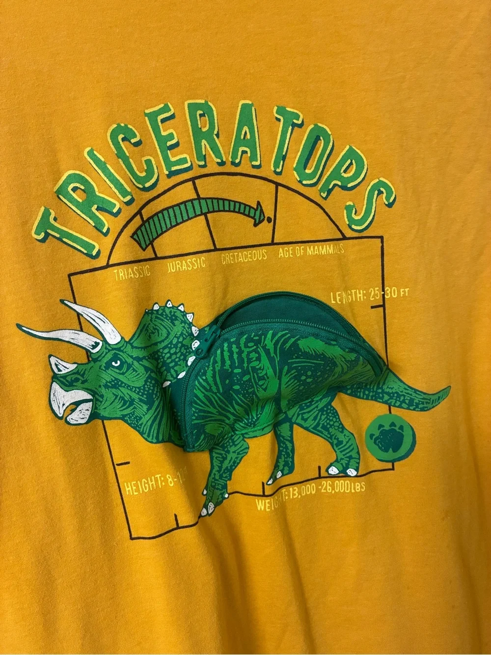 Gymboree Yellow Long-Sleeve Triceratops Graphic Tee with zipper pocket dinosaur